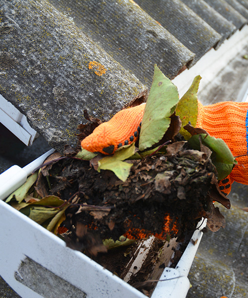 contractor hand close up removing debris from house gutter canton ms