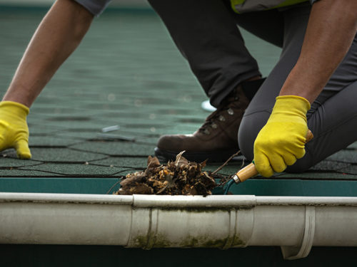 contractor on top of roof cleaning white gutter with debris and mold canton ms