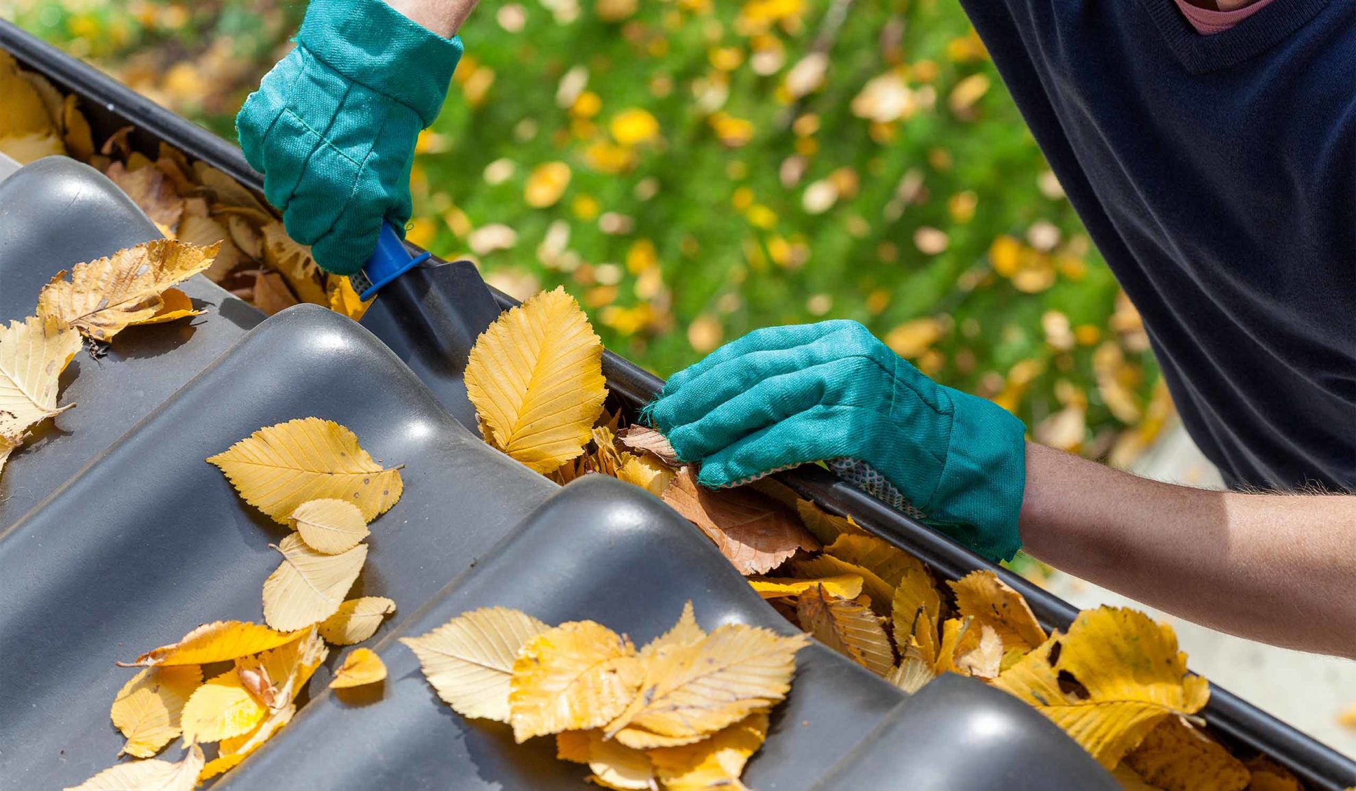 man on top of ladder cleaning leaves from gutter canton ms