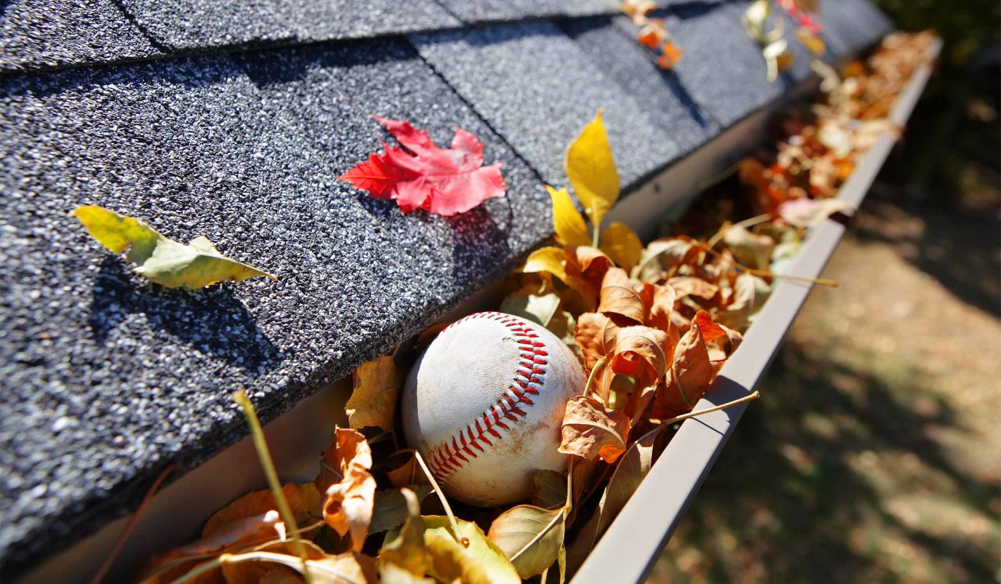 rain gutter close up clogged with leaves and baseball ball canton ms